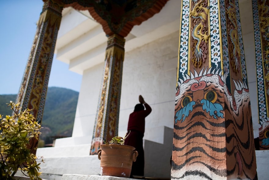 تصاویر | در جستجوی ببرهای کمیاب بوتان